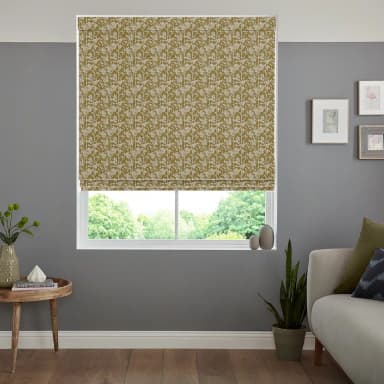 Blackout Roman blinds 