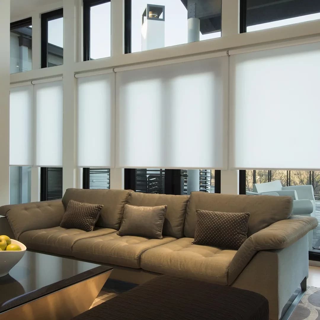 Sunscreen Roller Blinds
